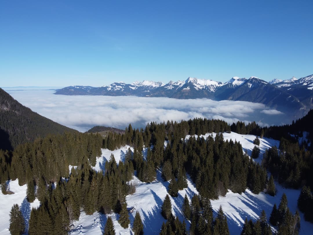 Photo webcam actuelle